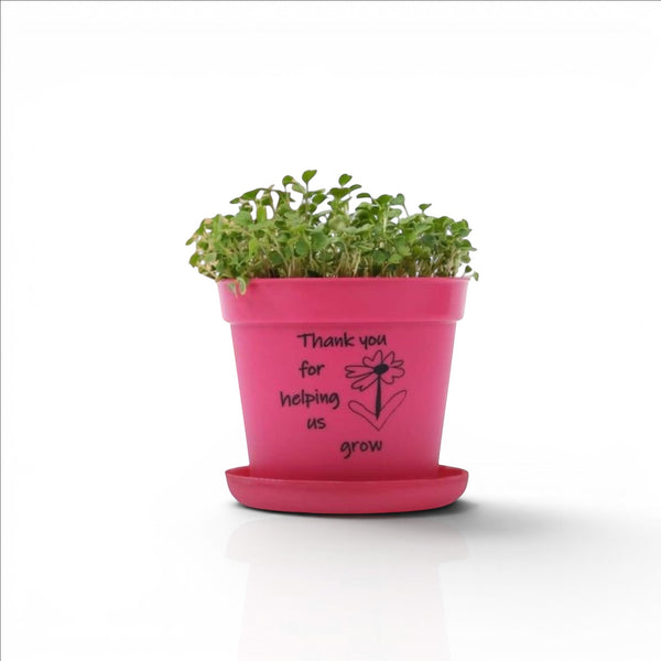 Grow & Play